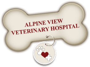 Alpine View Veterinary Hospital Home