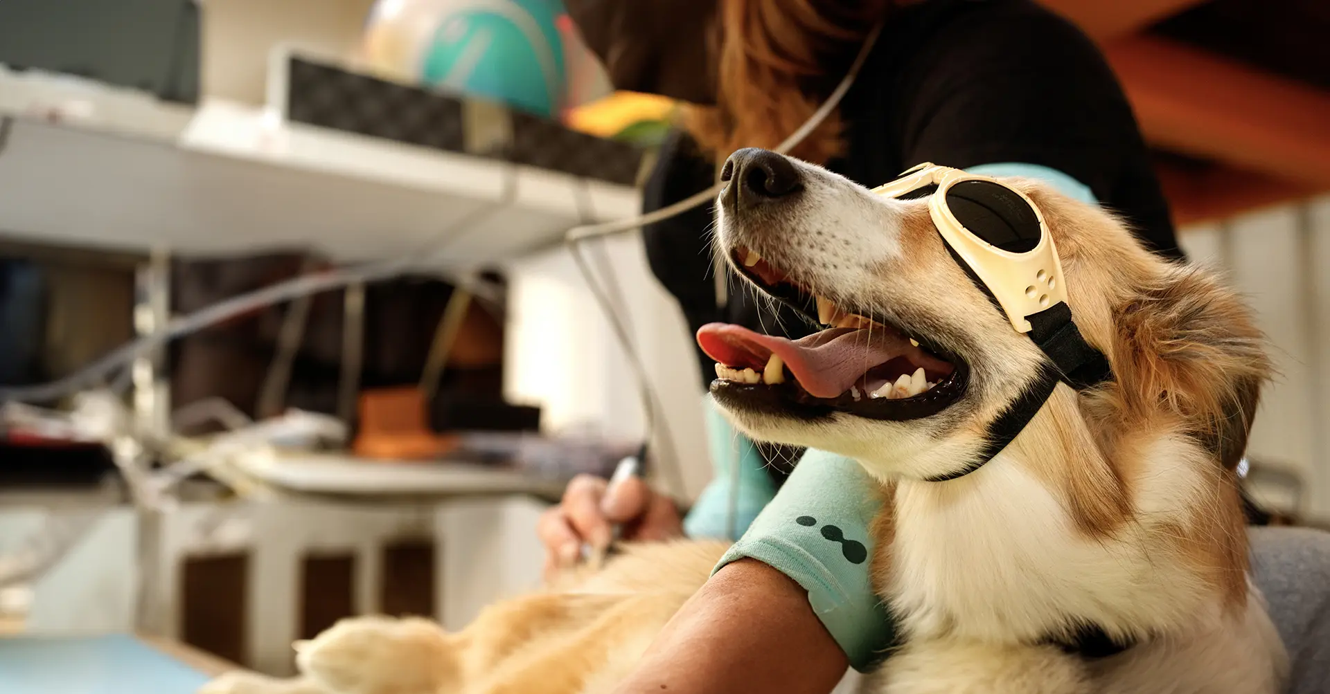 Laser Therapy