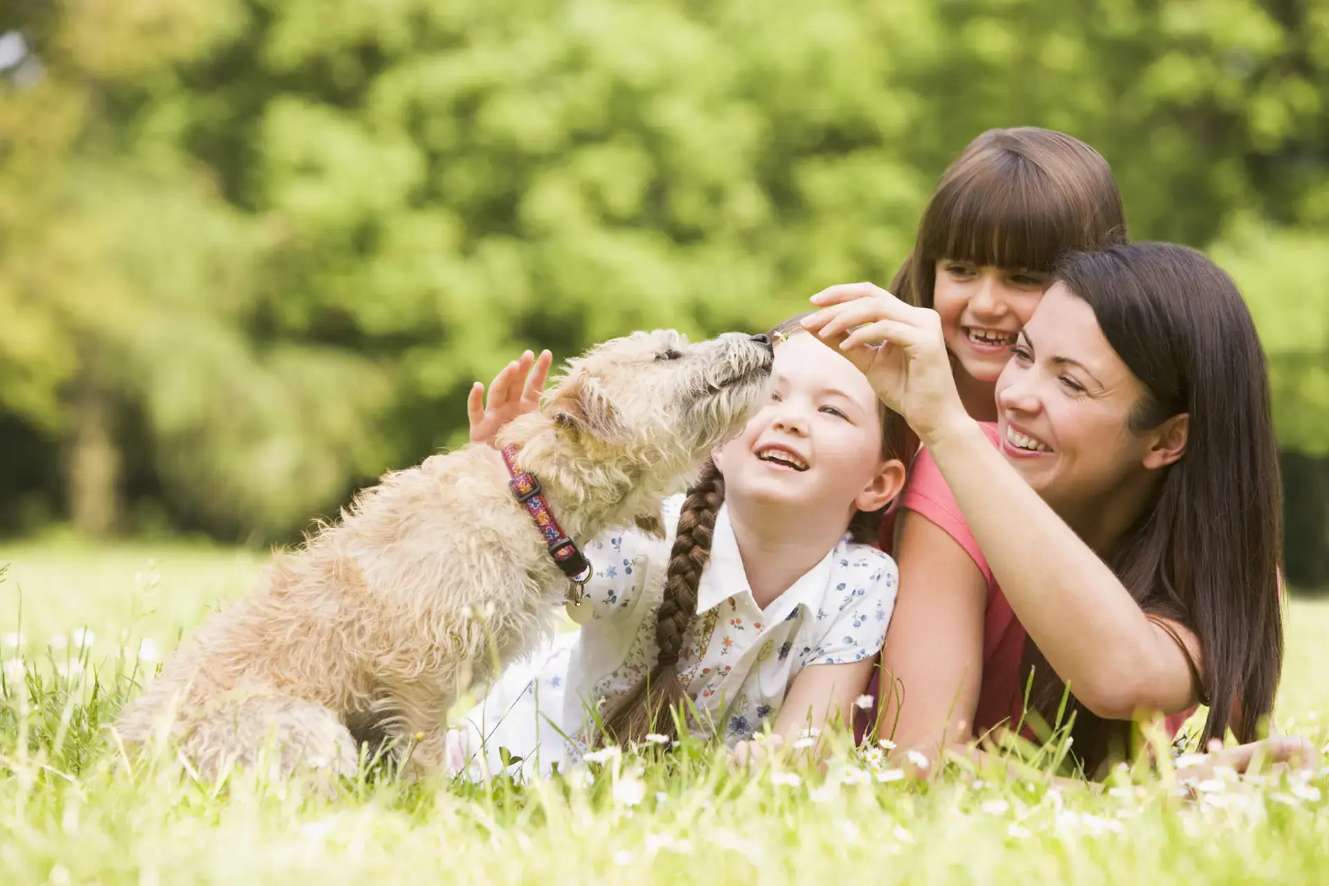 A family giving their dog treats