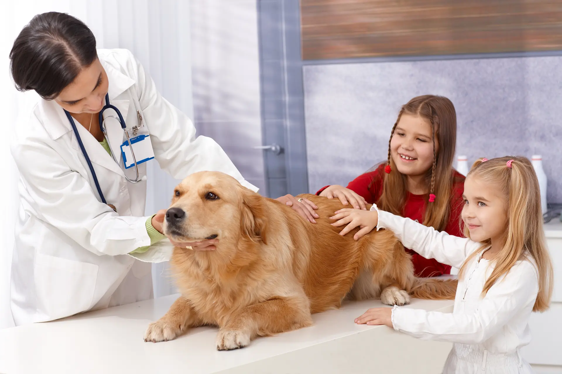 Wellness & Vaccinations