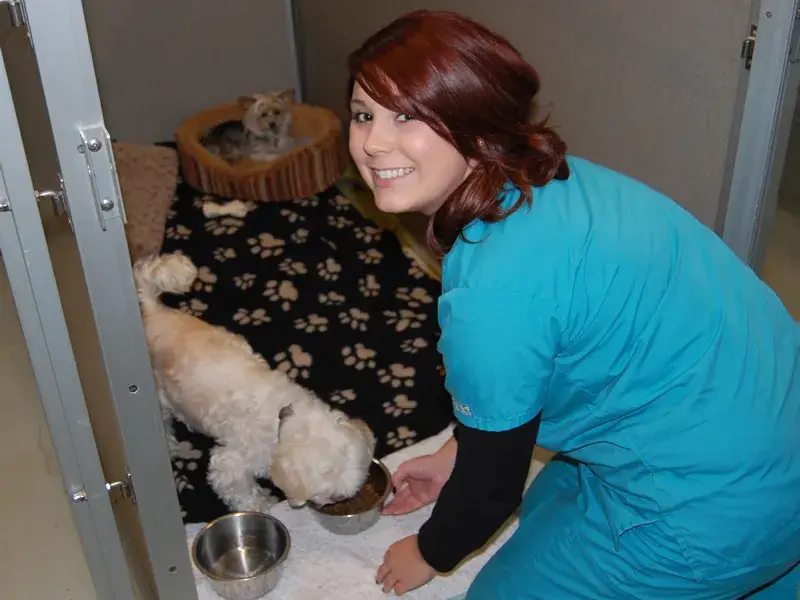 Two of furry canine friends boarding here at Alpine View...