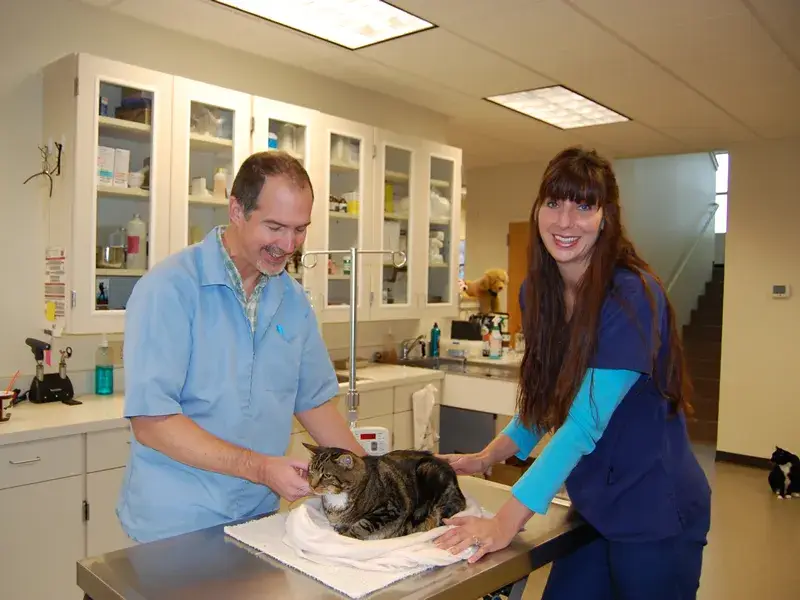 Dr. DeMaris and our lead technician Alicia monitoring our friend Felix...