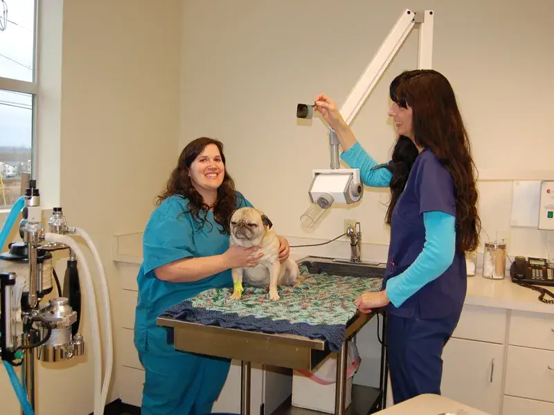 Reviewing dental radiographs in our dental suite...