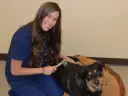 14-our-sweet-alkaia-enjoying-her-laser-treatment-in-our-laser-therapy-suite