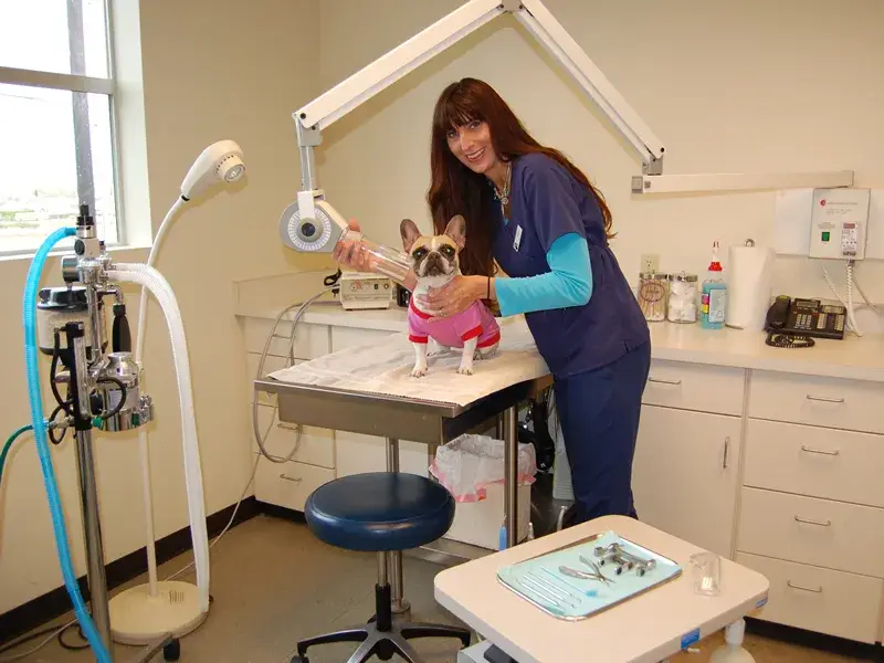 Little Lucy ready for her dental radiographs in our fully equipped dental suite...