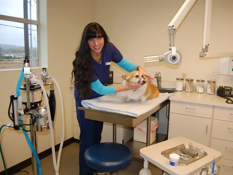 Katie O'Brien receiving her annual oral health exam...